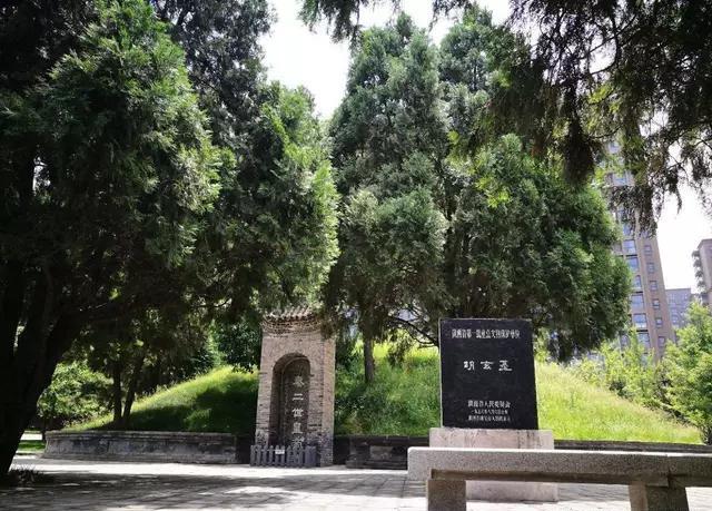 视光学技术开发 第124页