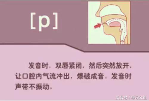 最新国际音标发音视频,最新国际音标发音视频，为语言学习者带来的福音