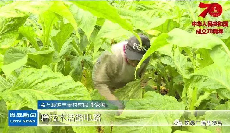 九台租房最新消息,九台租房最新消息，科技引领未来，智能租房新体验