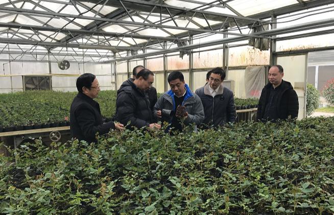 沭阳人才网最新招聘信息,沭阳人才网最新招聘信息，变化中的学习之旅，成就你的未来之星