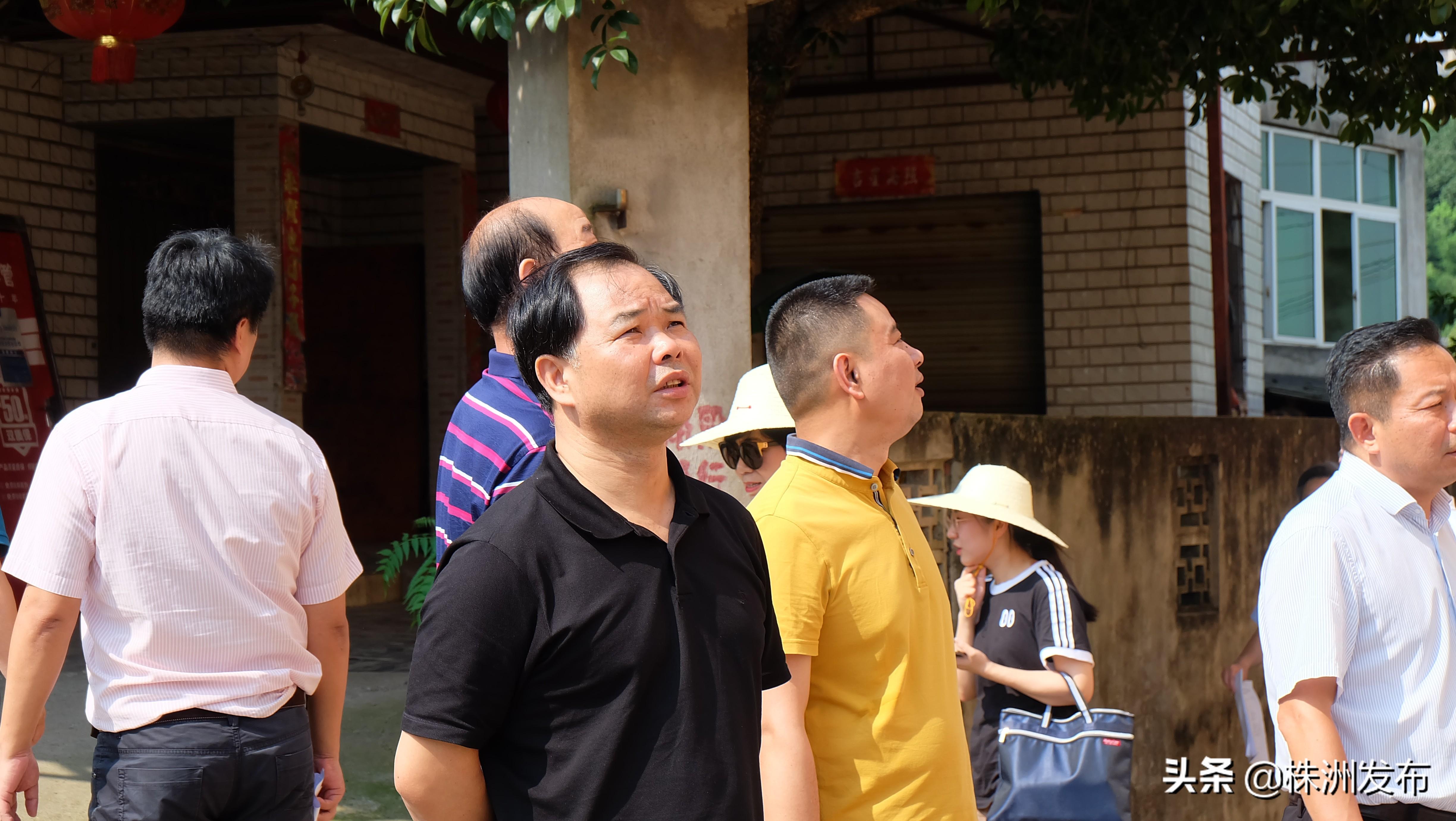 周浦镇周浦镇最新规划,周浦镇周浦镇最新规划，小巷深处的惊喜探索