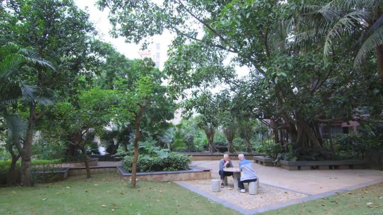 海南天赐上湾最新房价,海南天赐上湾最新房价，科技与生活共舞的前沿居所