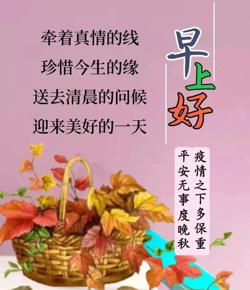 最新精选QQ分组推荐,最新精选QQ分组推荐详细步骤指南