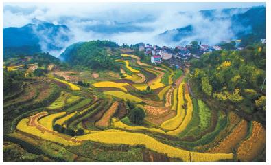 “宁海新资讯”,宁海新资讯，探索自然美景的旅行，寻找内心的平和之地