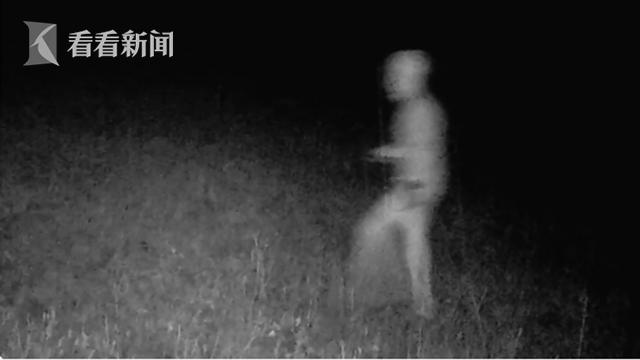 最新UFO动态,最新UFO动态，如何追踪与研究UFO现象的全步骤指南