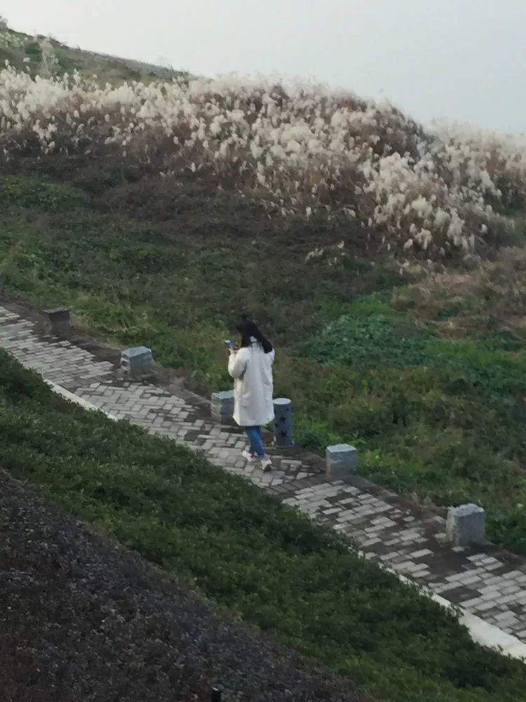 技术咨询 第78页
