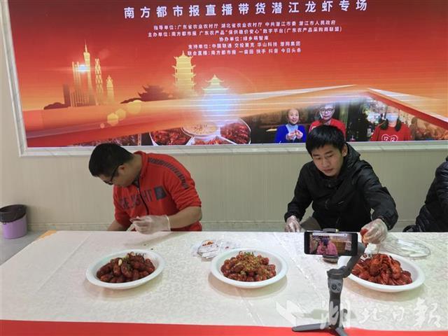 潜江生态龙虾最新资讯,潜江生态龙虾最新资讯，小巷深处的龙虾秘境