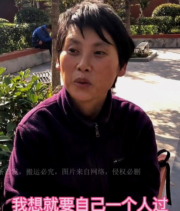 最新流浪包,最新流浪包，一段温馨有趣的旅程